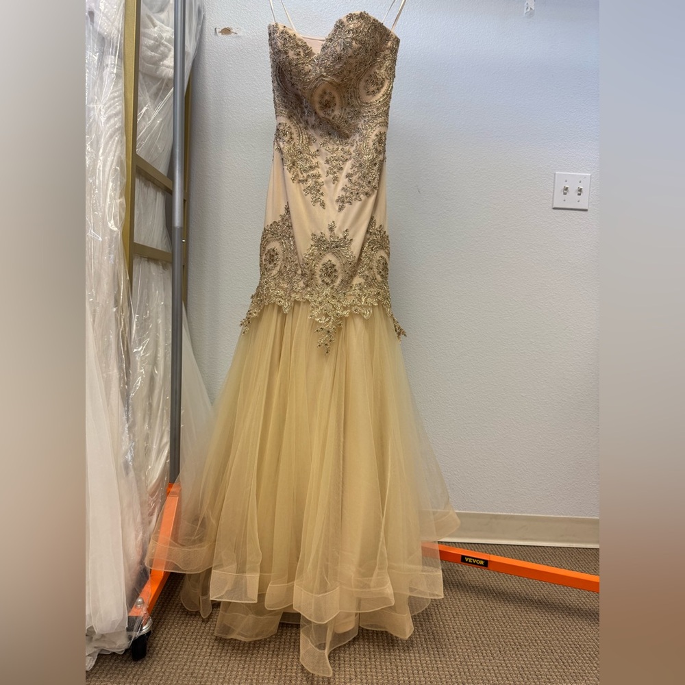 Cinderella Divine Champagne Gown